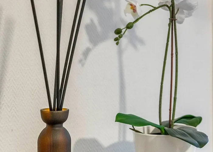 Apartment - 10 Min To Notre-dame